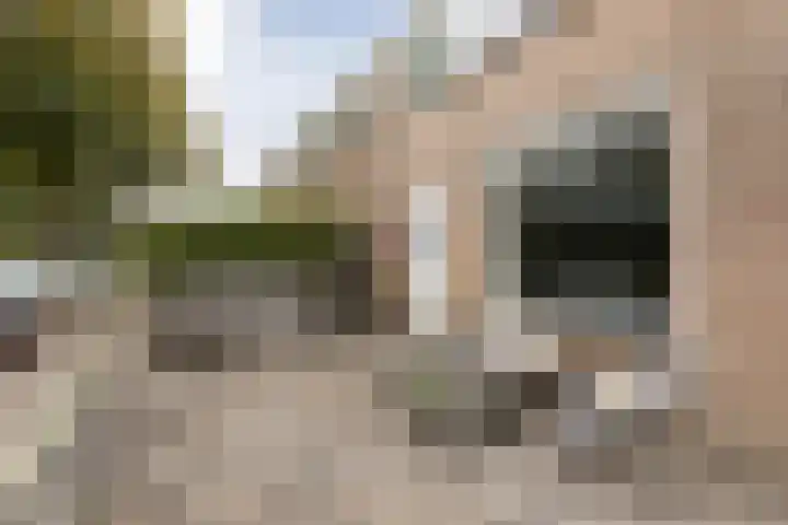 Scherwolderhemstraat 50 Sneek thumbnail 33