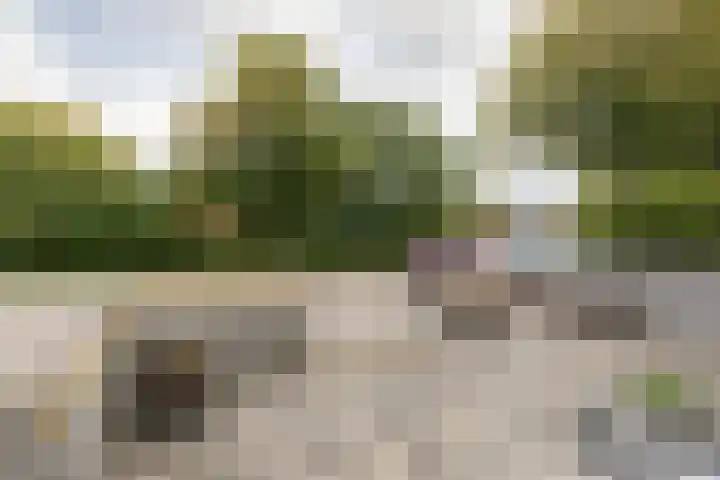 Scherwolderhemstraat 50 Sneek thumbnail 35