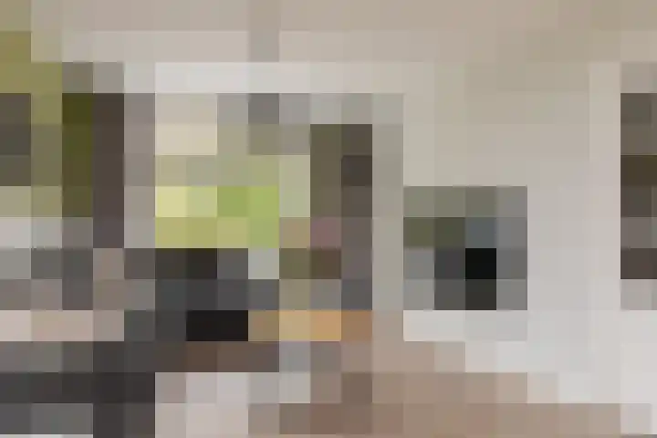Scherwolderhemstraat 50 Sneek thumbnail 4