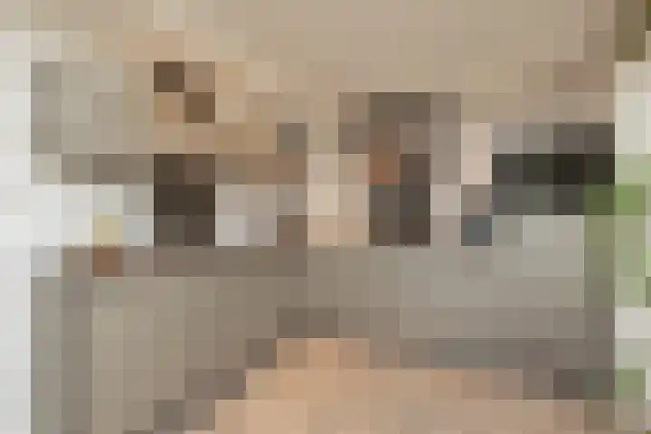 Scherwolderhemstraat 50 Sneek thumbnail 8