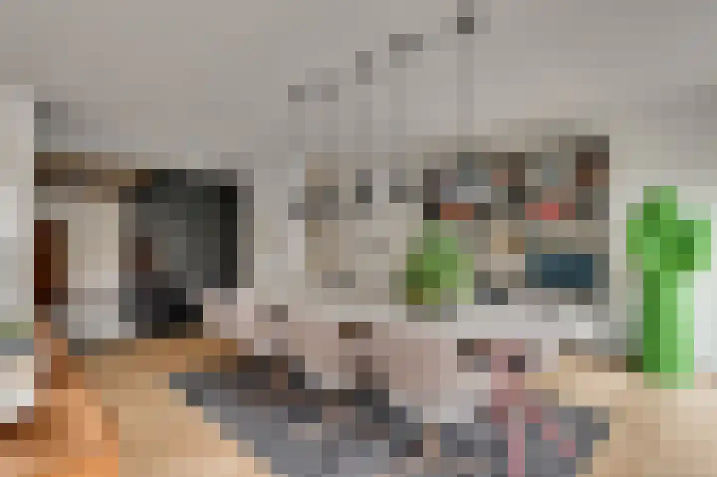 Scheulderdorpsstraat 64 Scheulder thumbnail 19