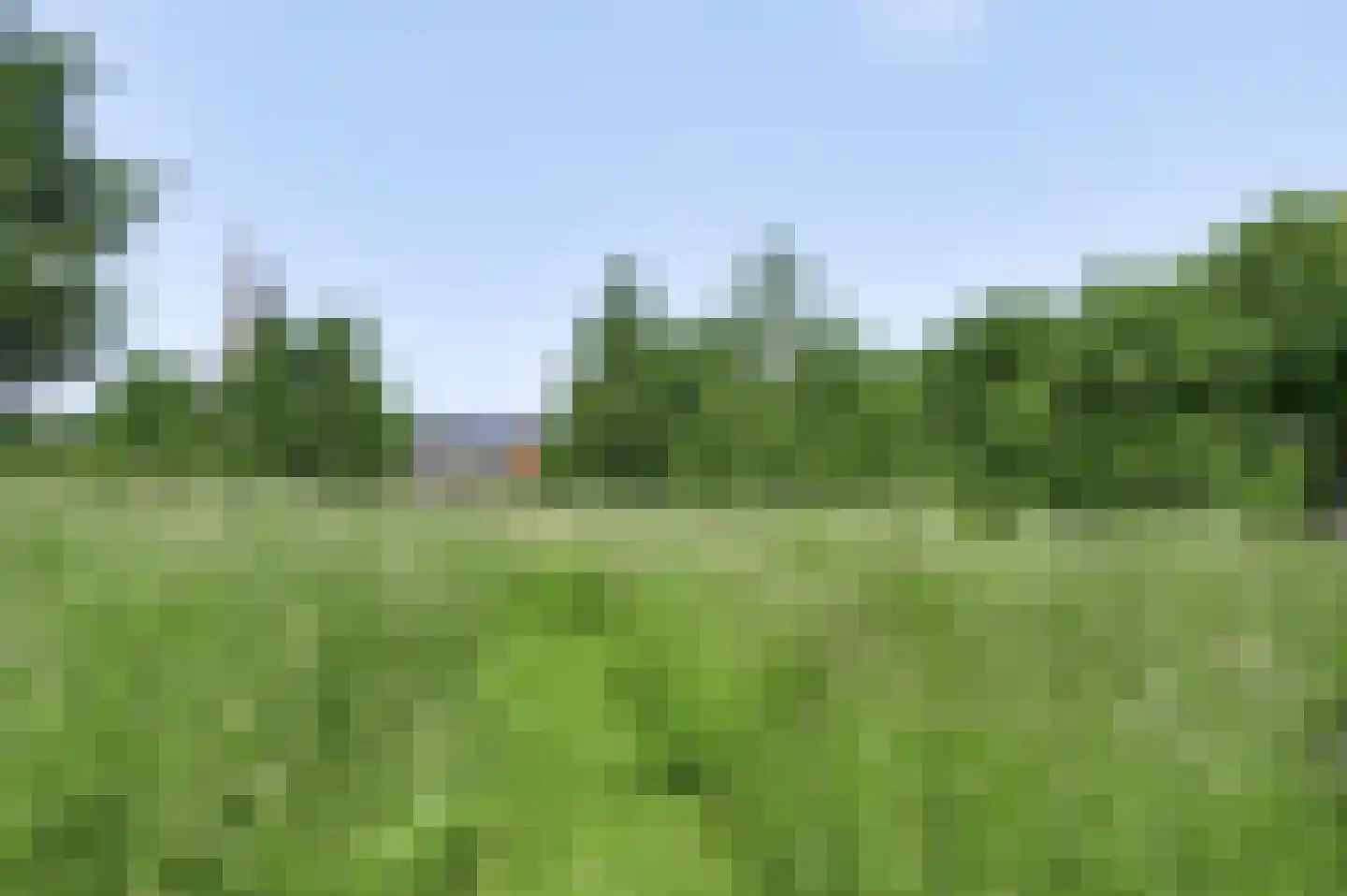 Scheulderdorpsstraat 64 Scheulder thumbnail 51