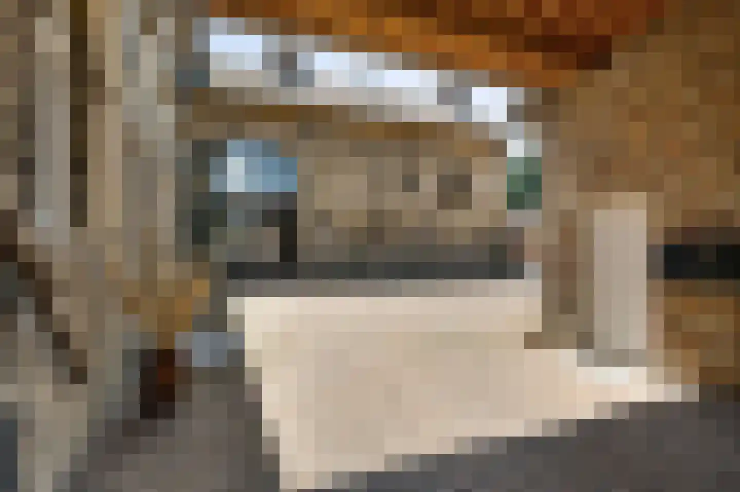 Scheulderdorpsstraat 64 Scheulder thumbnail 60