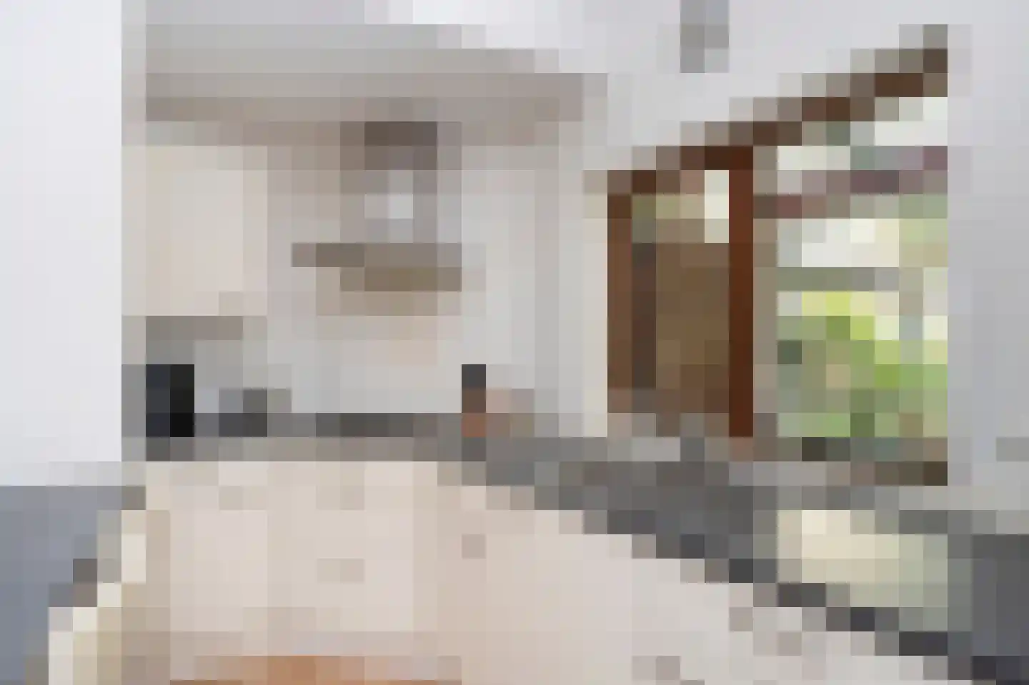 Scheulderdorpsstraat 65 Scheulder thumbnail 14