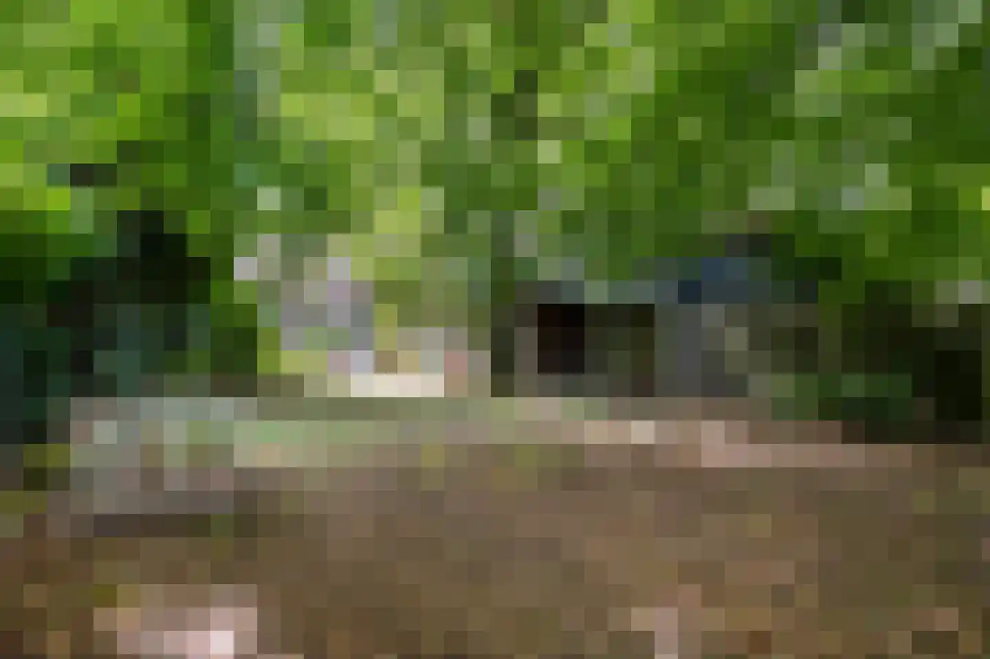 Scheulderdorpsstraat 65 Scheulder thumbnail 43