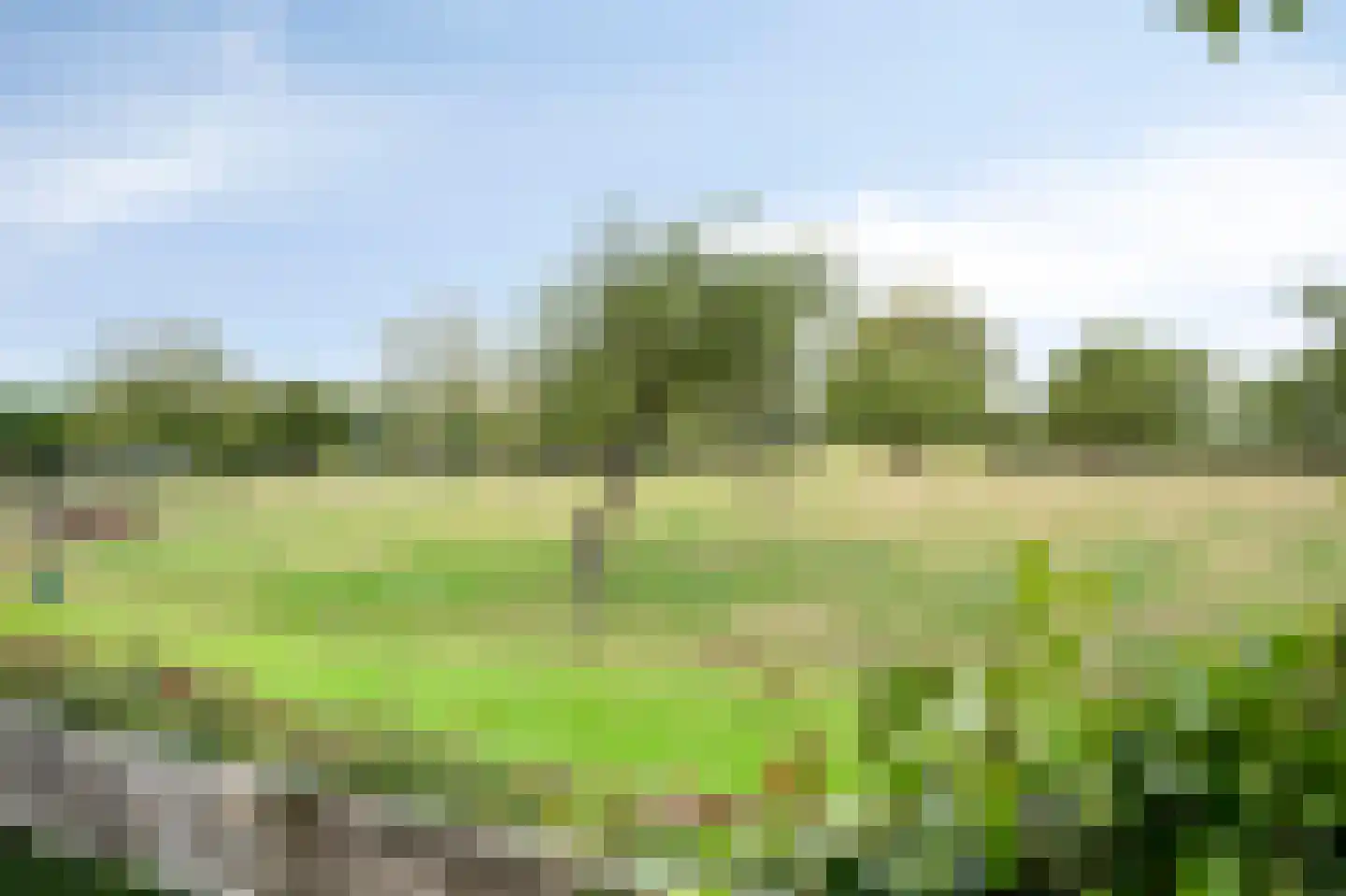 Scheulderdorpsstraat 65 Scheulder thumbnail 46