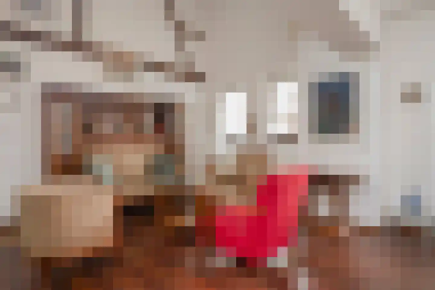 Scheulderdorpsstraat 65 Scheulder thumbnail 6