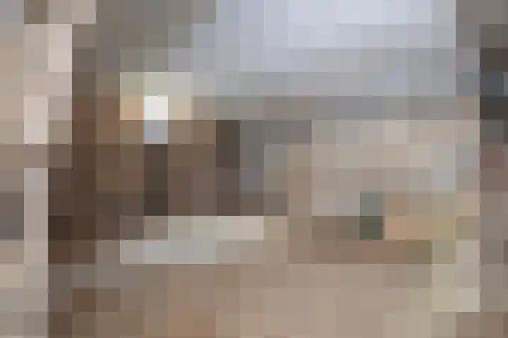 Scheuldersteeg 6 Scheulder thumbnail 24