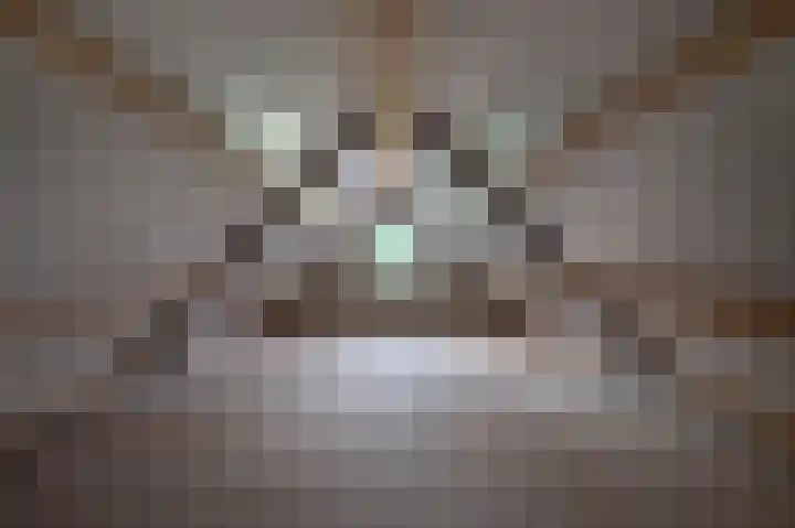 Scheuldersteeg 6 Scheulder thumbnail 40