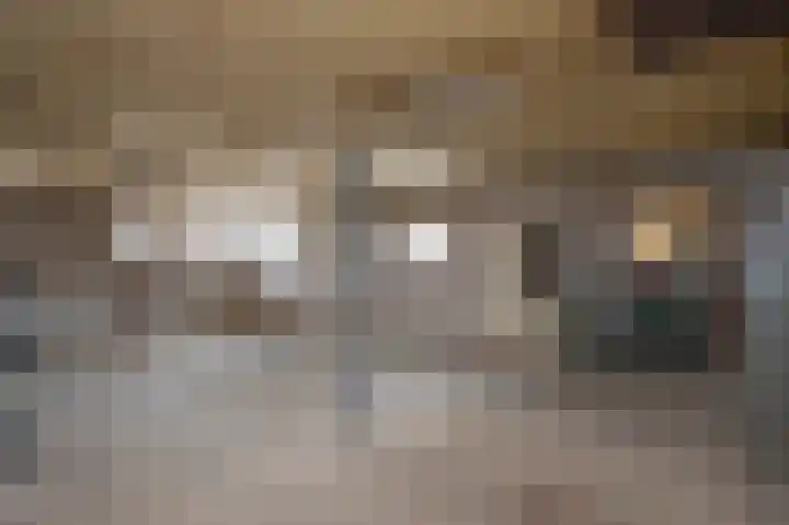 Scheuldersteeg 6 Scheulder thumbnail 55