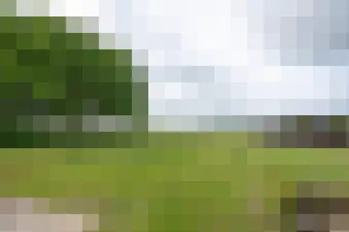 Scheuldersteeg 6 Scheulder thumbnail 65