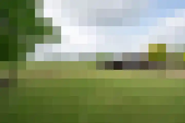 Scheuldersteeg 6 Scheulder thumbnail 66