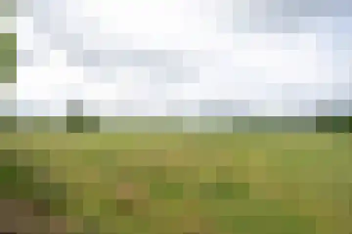 Scheuldersteeg 6 Scheulder thumbnail 67
