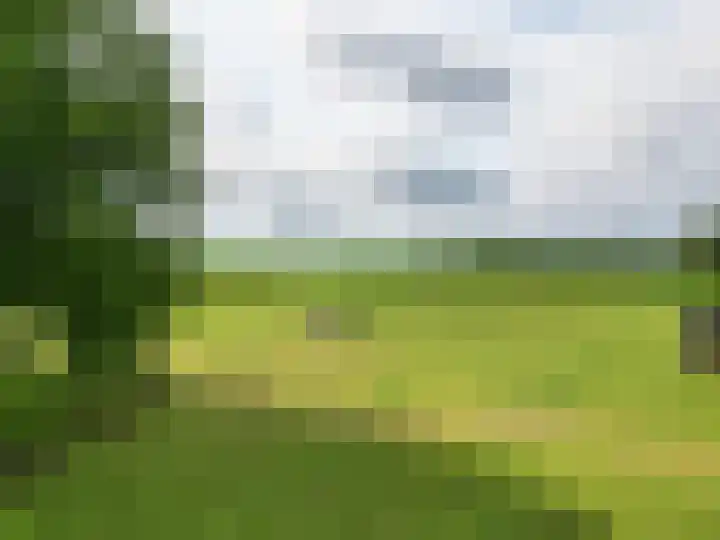 Scheuldersteeg 6 Scheulder thumbnail 69