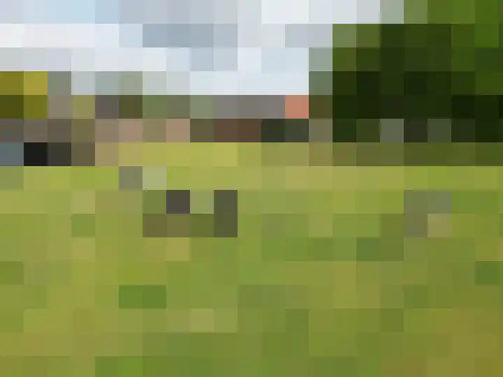 Scheuldersteeg 6 Scheulder thumbnail 72