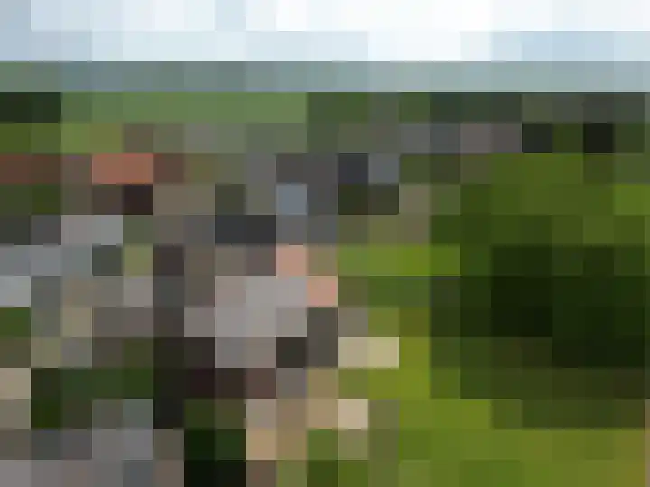 Scheuldersteeg 6 Scheulder thumbnail 74