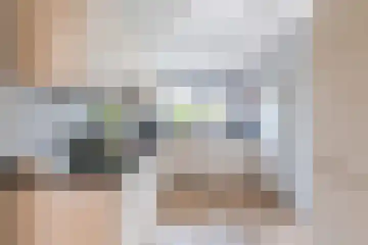 Scheuningskamp 36 Beilen thumbnail 10