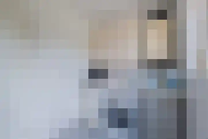 Scheuningskamp 36 Beilen thumbnail 13