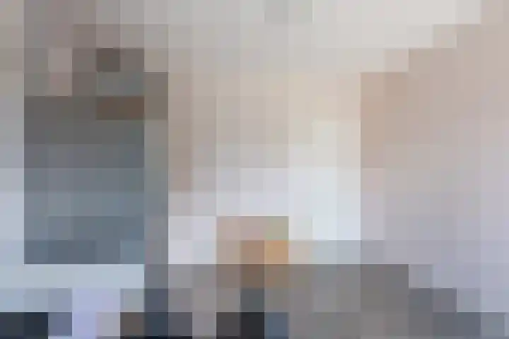 Scheuningskamp 36 Beilen thumbnail 15