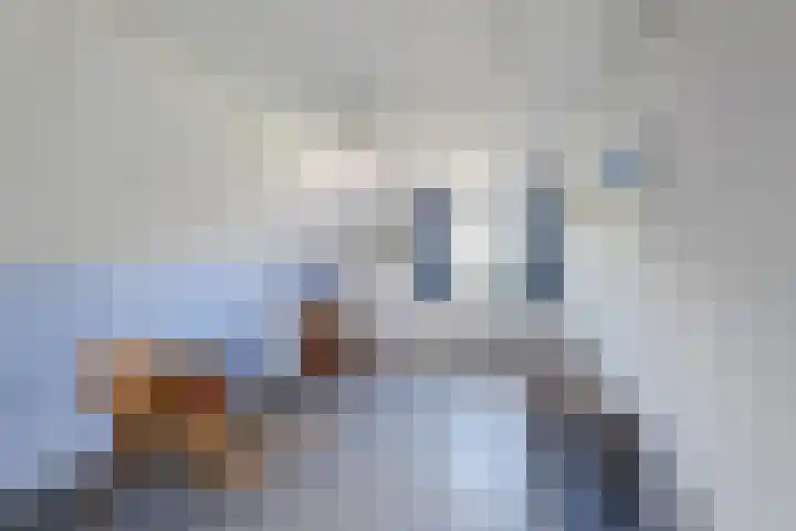 Scheuningskamp 36 Beilen thumbnail 20