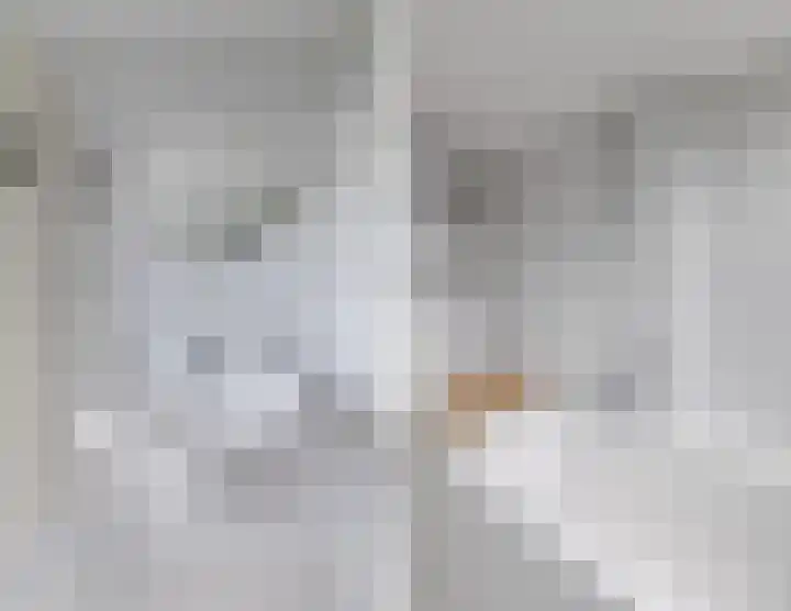 Scheuningskamp 36 Beilen thumbnail 25