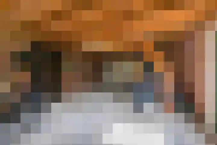 Scheuningskamp 36 Beilen thumbnail 26