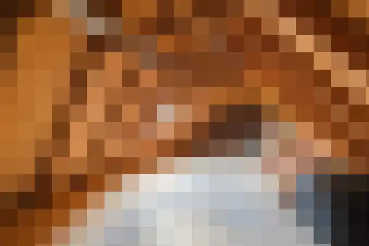 Scheuningskamp 36 Beilen thumbnail 28