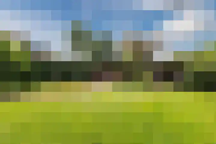 Scheuningskamp 36 Beilen thumbnail 31