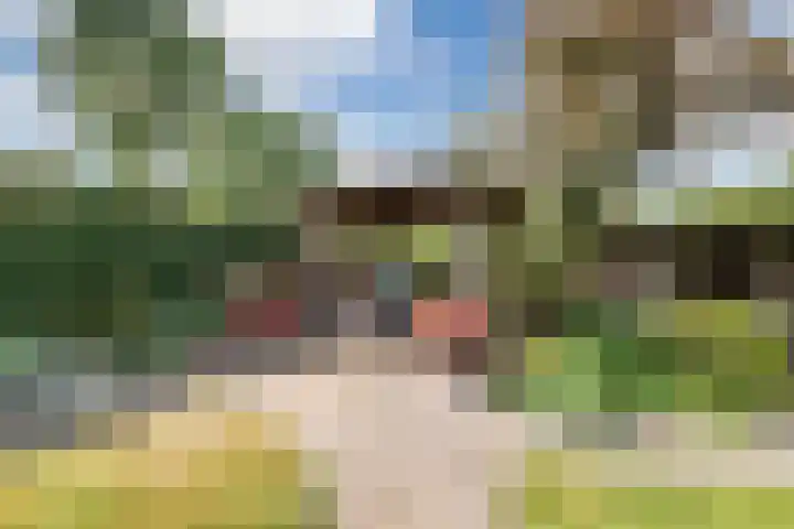 Scheuningskamp 36 Beilen thumbnail 32
