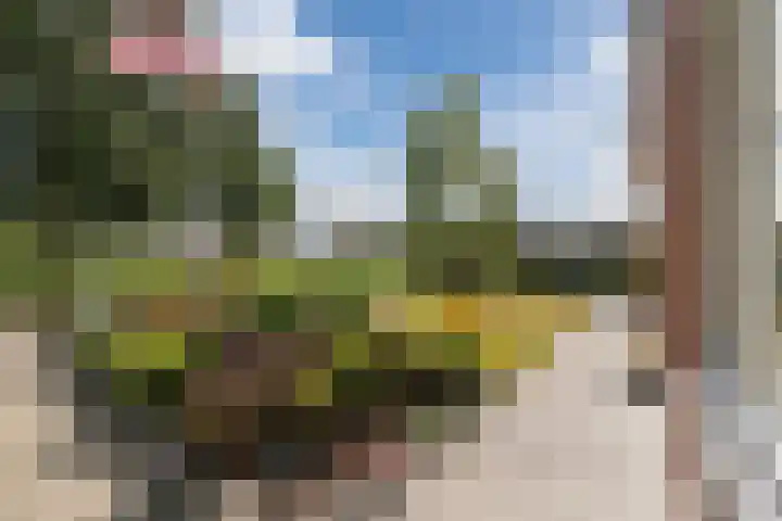 Scheuningskamp 36 Beilen thumbnail 36