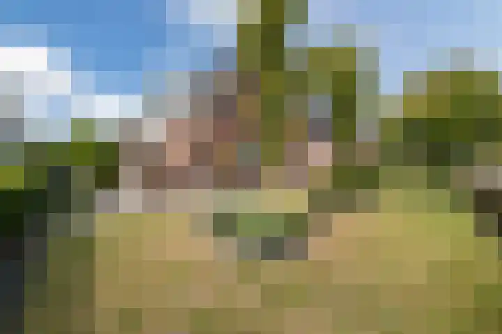 Scheuningskamp 36 Beilen thumbnail 37