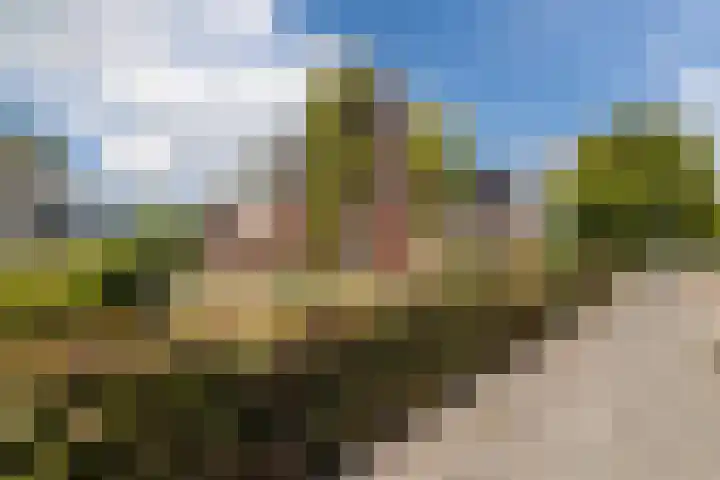 Scheuningskamp 36 Beilen thumbnail 38