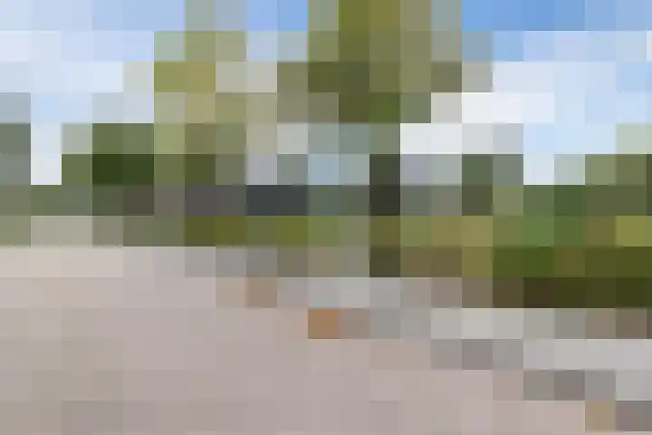 Scheuningskamp 36 Beilen thumbnail 39