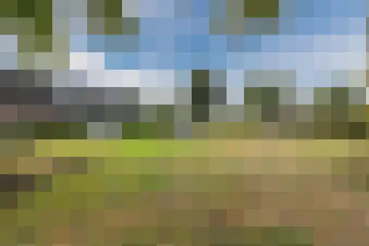Scheuningskamp 36 Beilen thumbnail 40