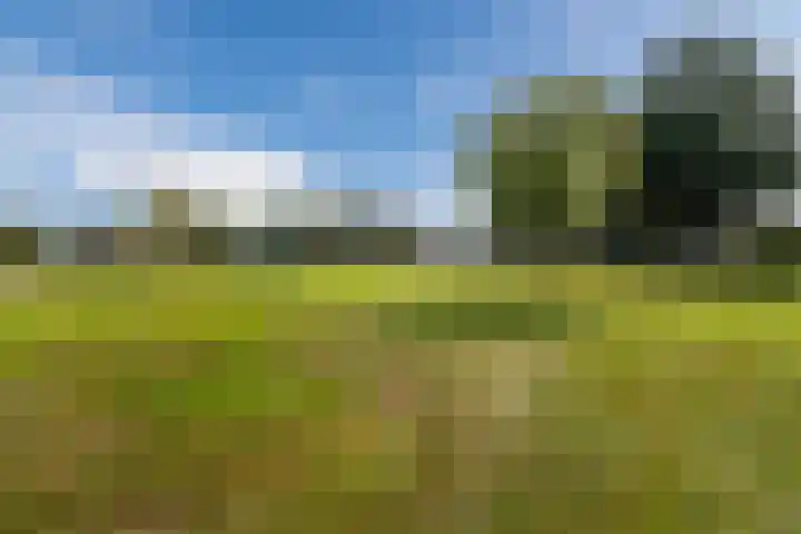 Scheuningskamp 36 Beilen thumbnail 41