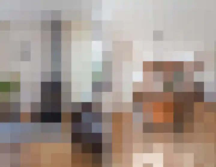 Scheuningskamp 36 Beilen thumbnail 8
