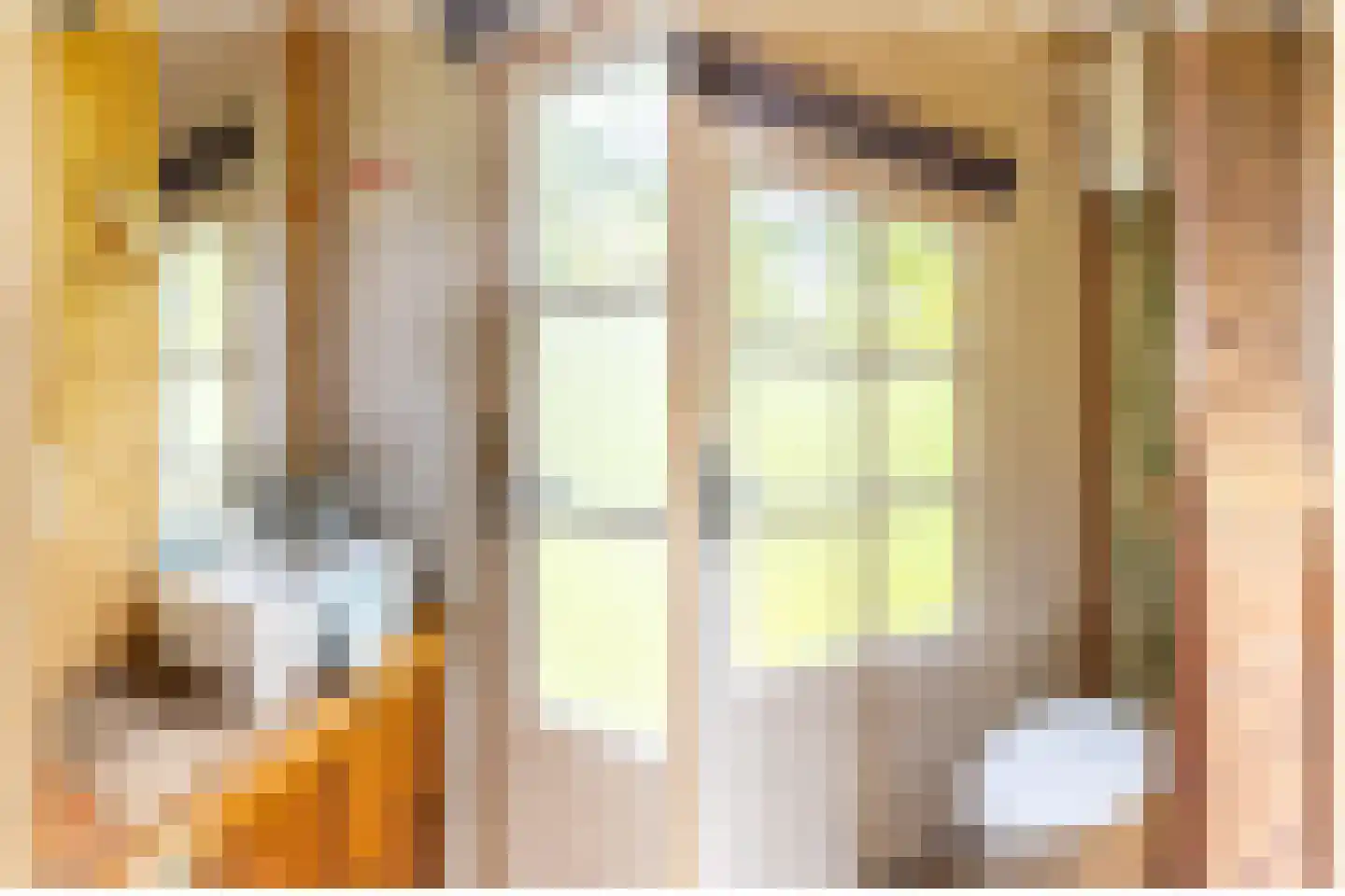 Scheurbroeksesteeg 21 a Haaren thumbnail 16