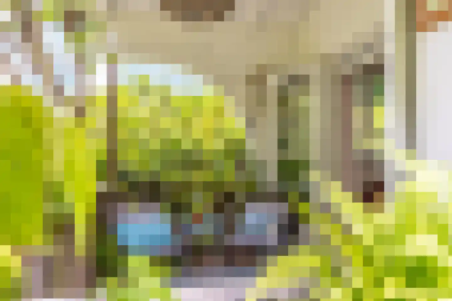 Scheurbroeksesteeg 21 a Haaren thumbnail 18