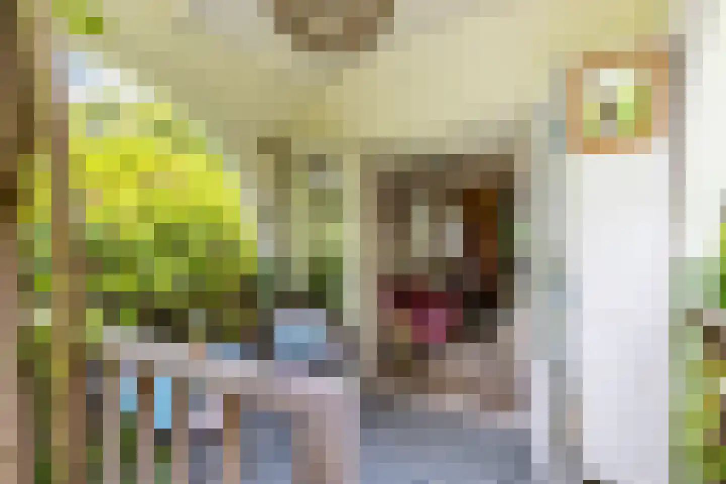 Scheurbroeksesteeg 21 a Haaren thumbnail 19