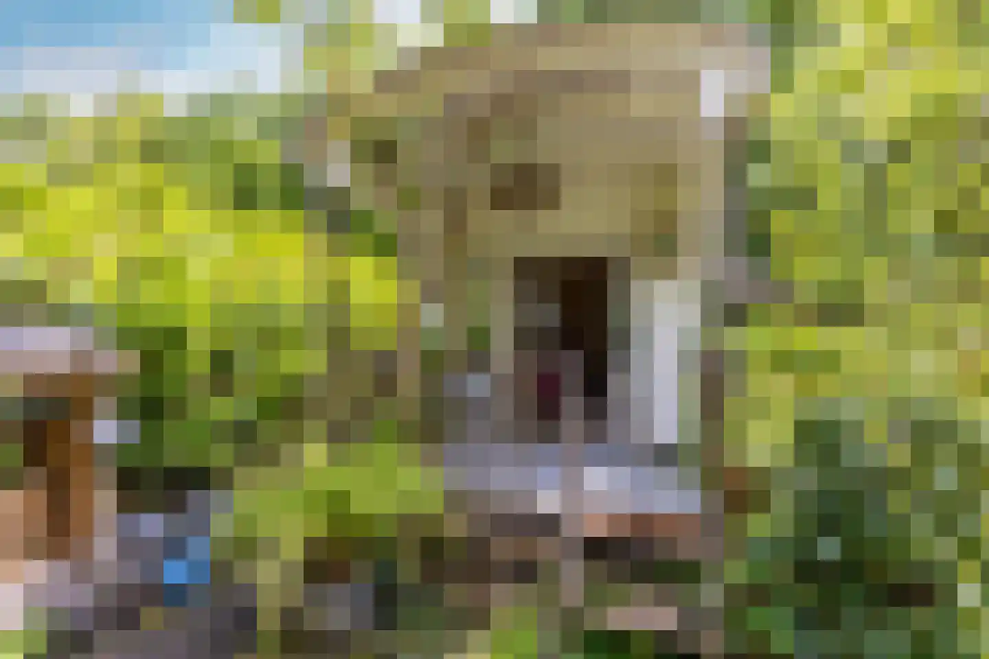 Scheurbroeksesteeg 21 a Haaren thumbnail 20