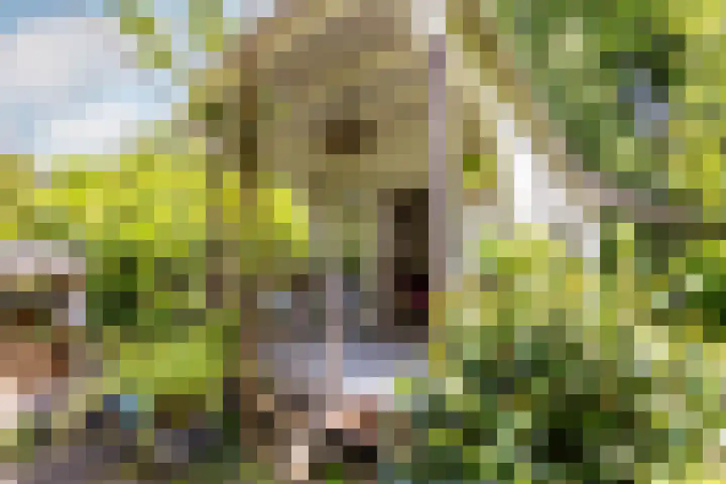 Scheurbroeksesteeg 21 a Haaren thumbnail 21