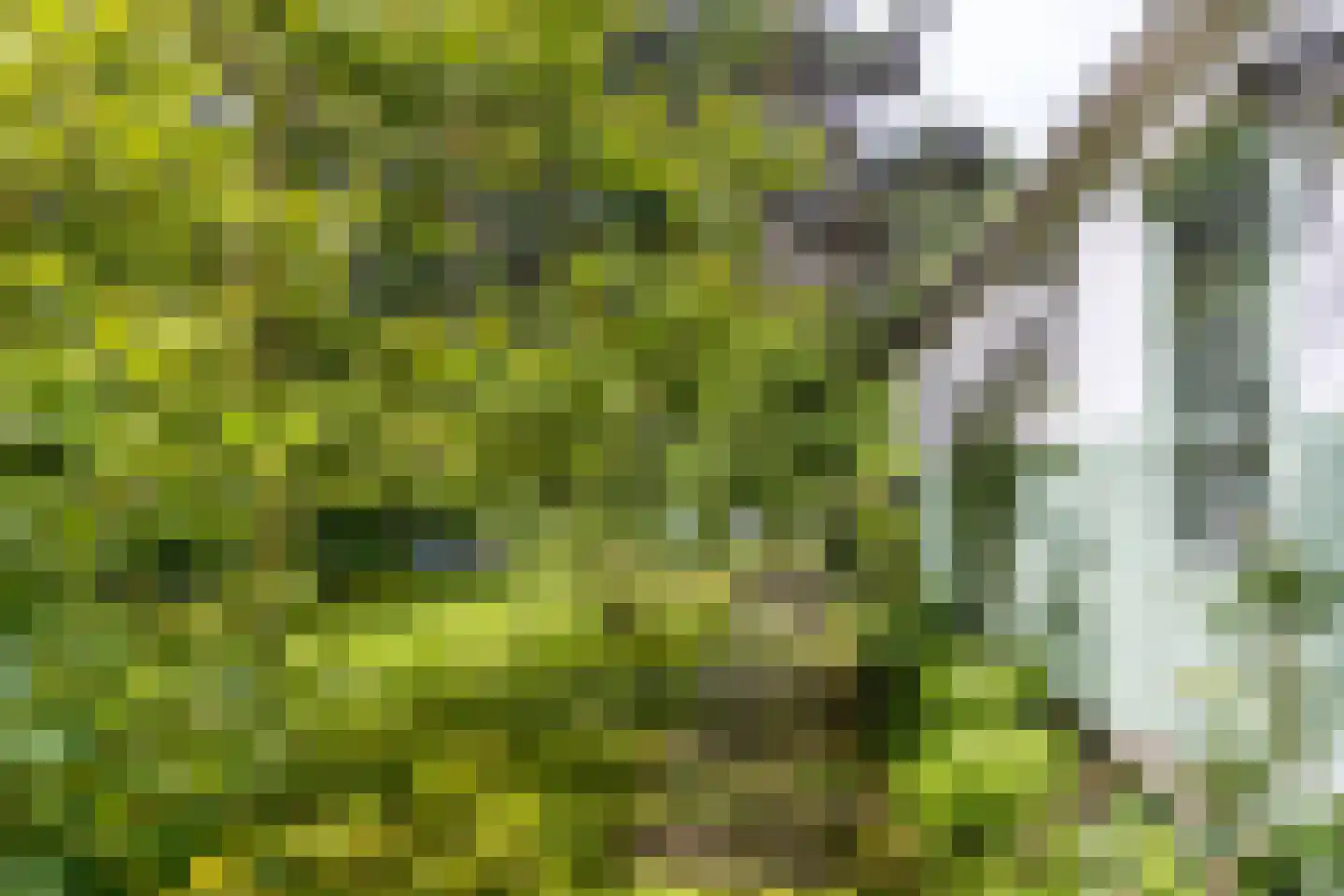 Scheurbroeksesteeg 21 a Haaren thumbnail 23