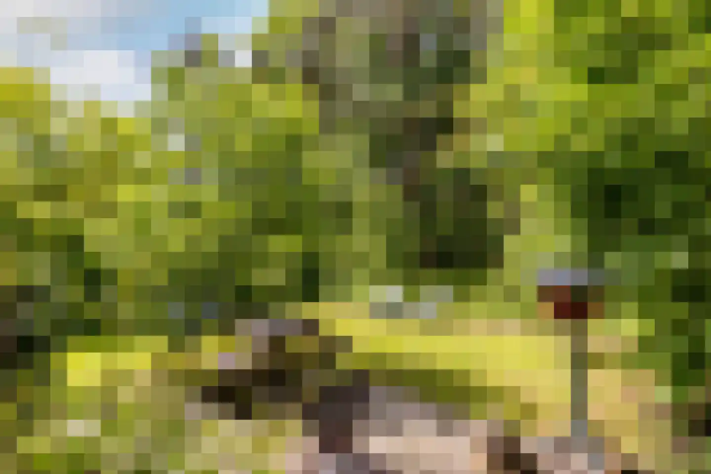 Scheurbroeksesteeg 21 a Haaren thumbnail 28