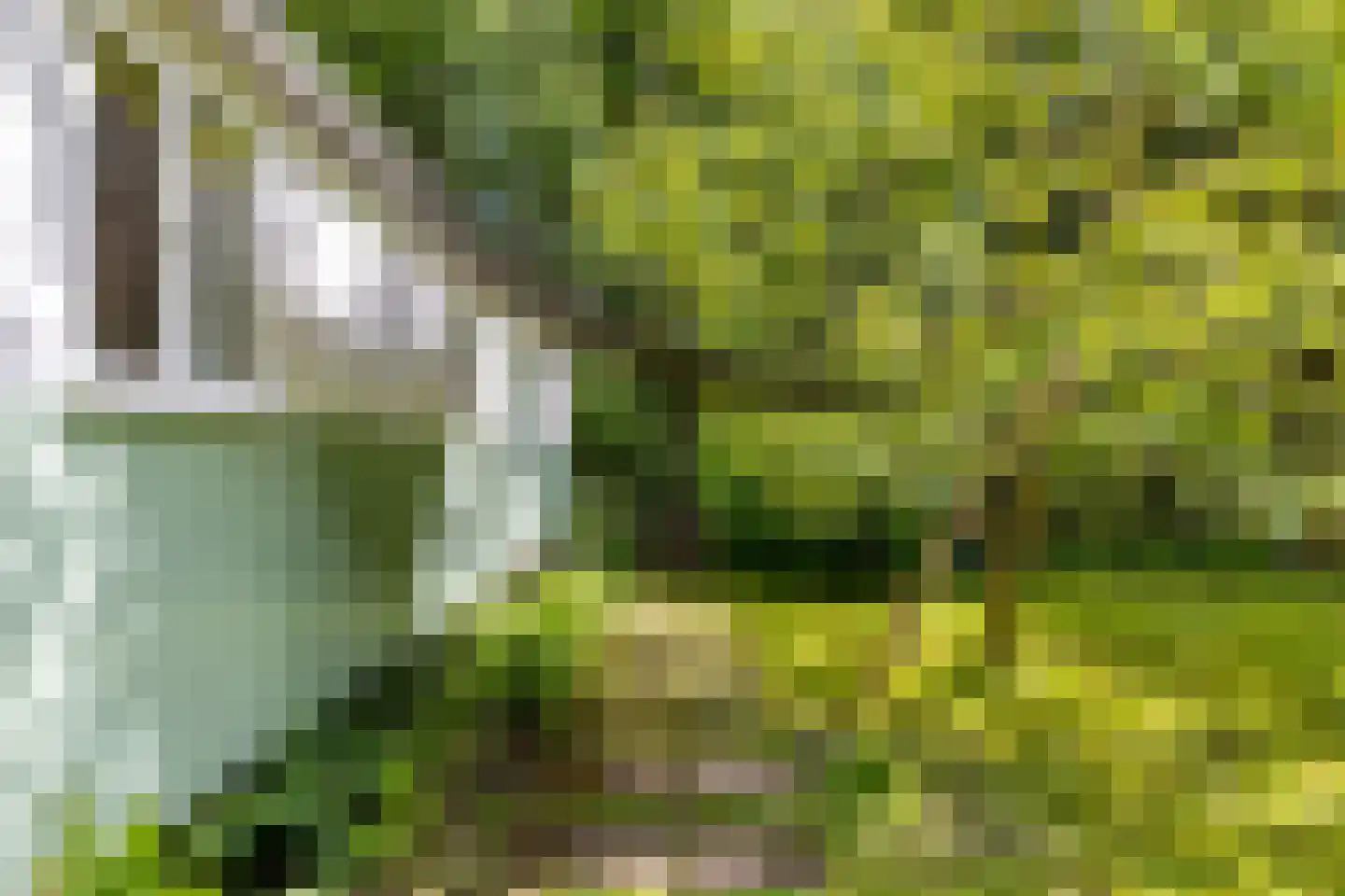 Scheurbroeksesteeg 21 a Haaren thumbnail 31