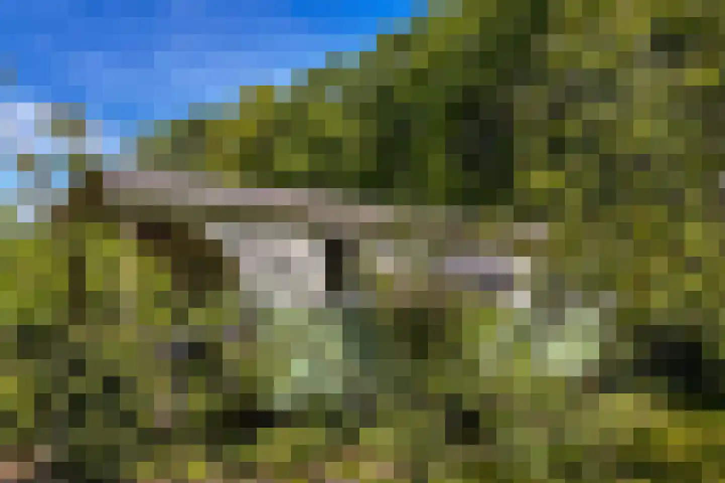 Scheurbroeksesteeg 21 a Haaren thumbnail 37