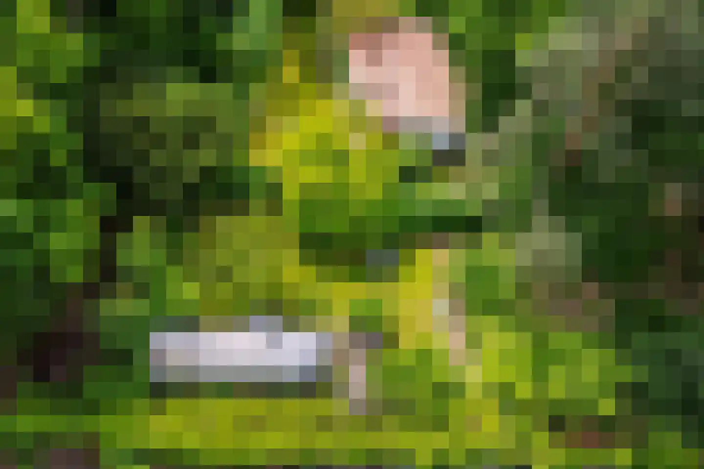 Scheurbroeksesteeg 21 a Haaren thumbnail 38