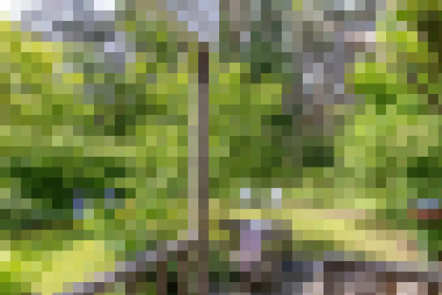 Scheurbroeksesteeg 21 a Haaren thumbnail 4