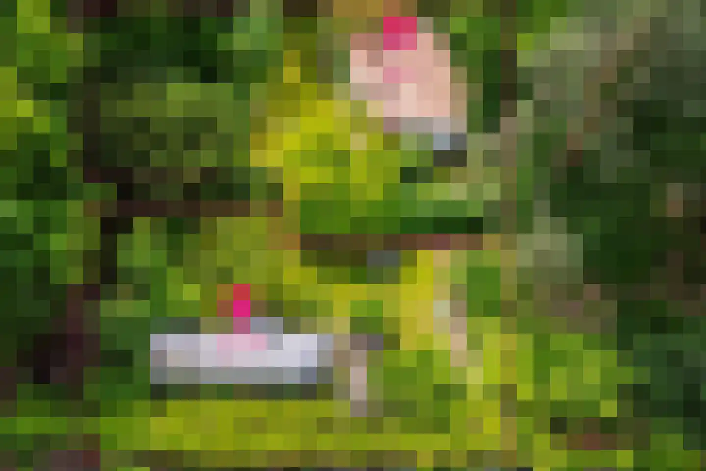 Scheurbroeksesteeg 21 a Haaren thumbnail 6