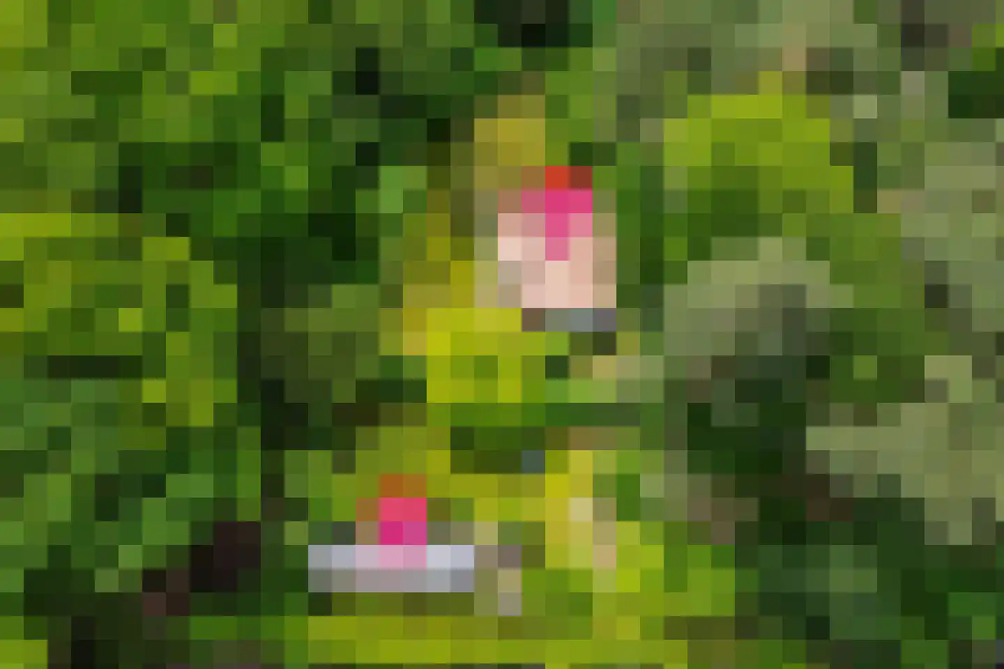 Scheurbroeksesteeg 21 a Haaren thumbnail 6
