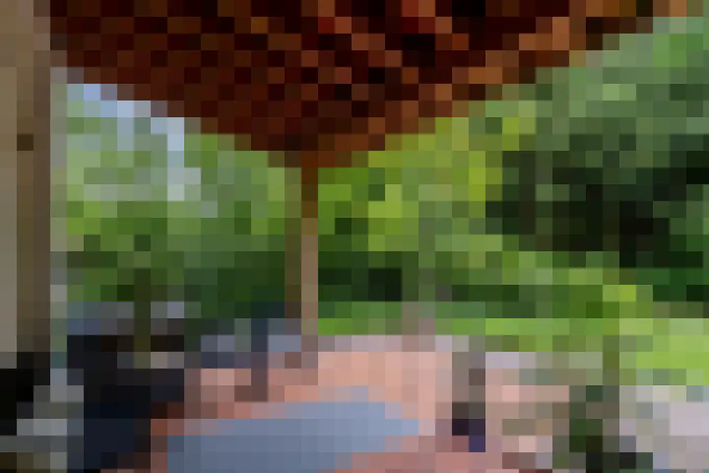 Scheurbroeksesteeg 21 Haaren thumbnail 19